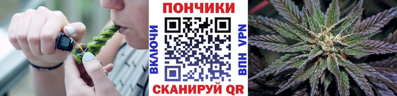 купить наркотик  нарко площадка какой сайт  Канабис MAZAR  Рубцовск 